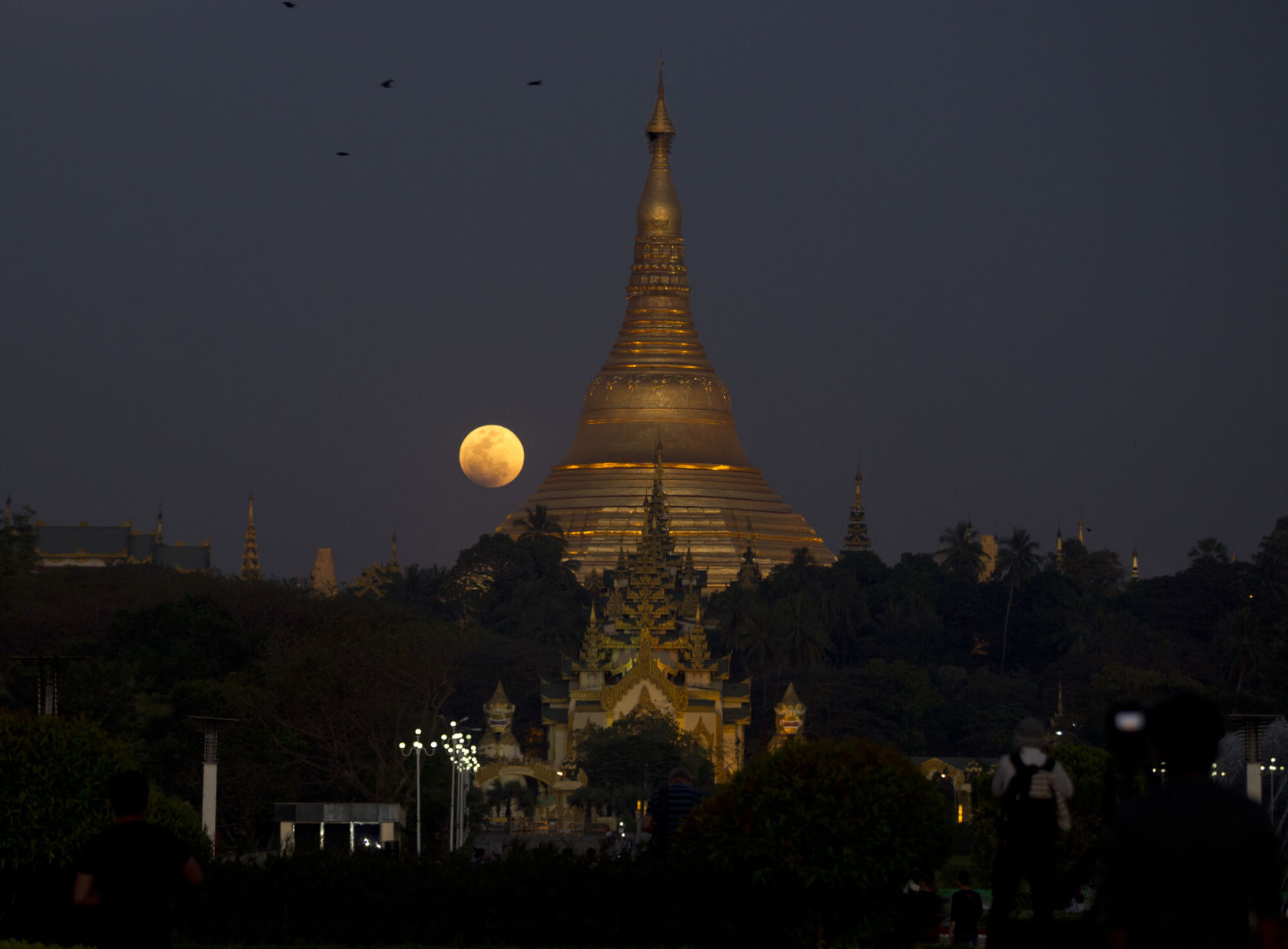 Lunar eclipse